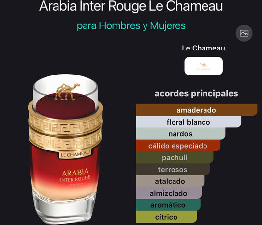 Arabia Inter Rouge 100 ml EAU de parfum