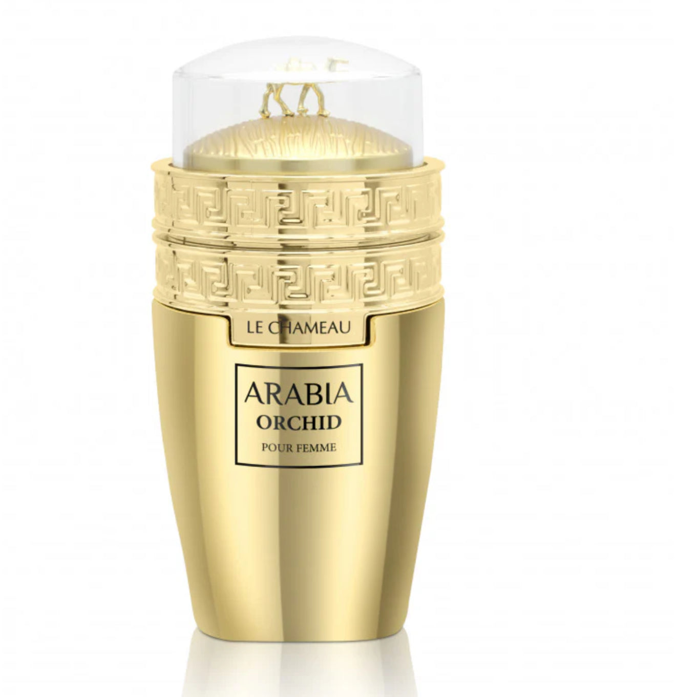 Arabia Orchid (Emper Lechameu )