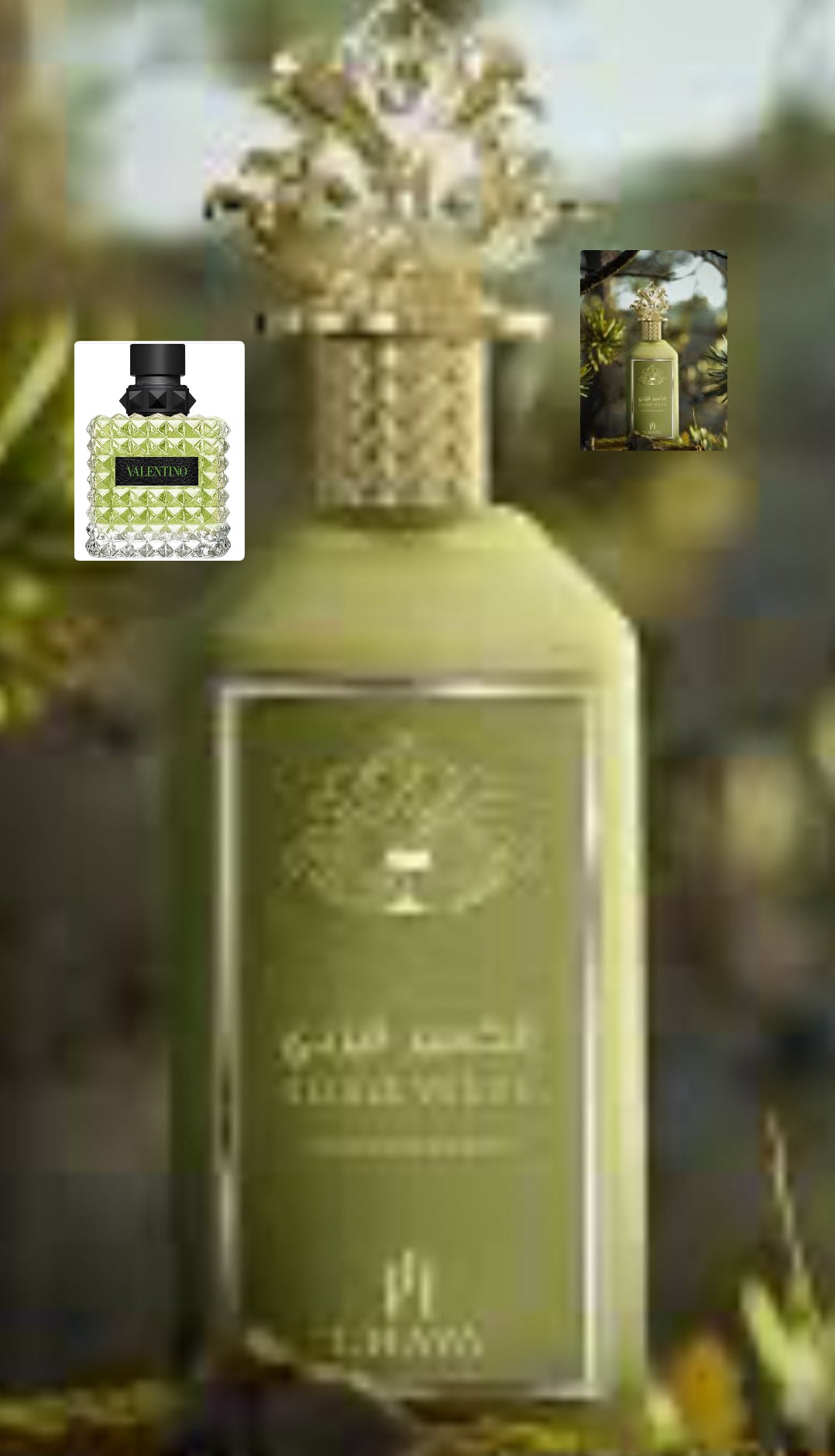 L’ Haya ( Elixir Verde )