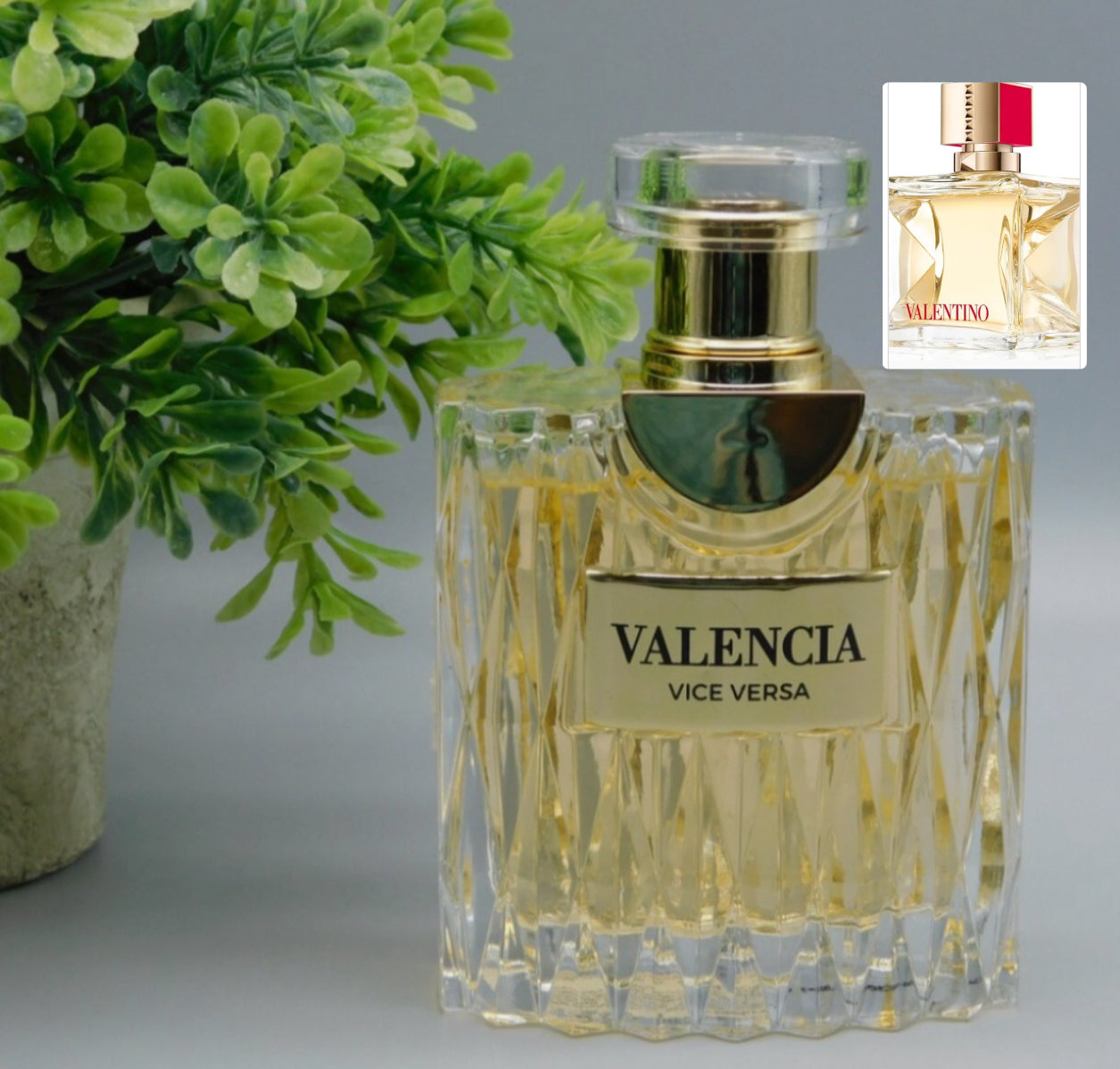 Valencia Vice Versa ( Milestone Valentino Voce Viva )