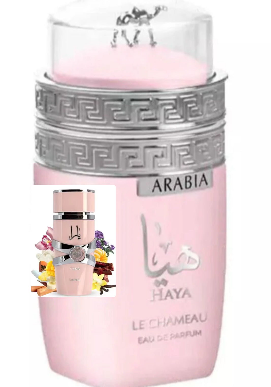 Arabia Haya Emper (Yara )