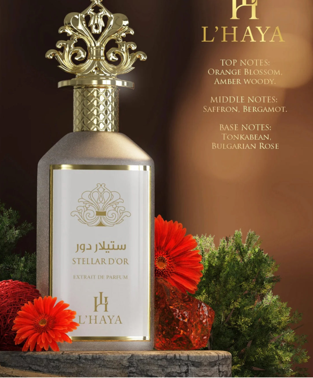 L’ Haya ( Estellar Dor )