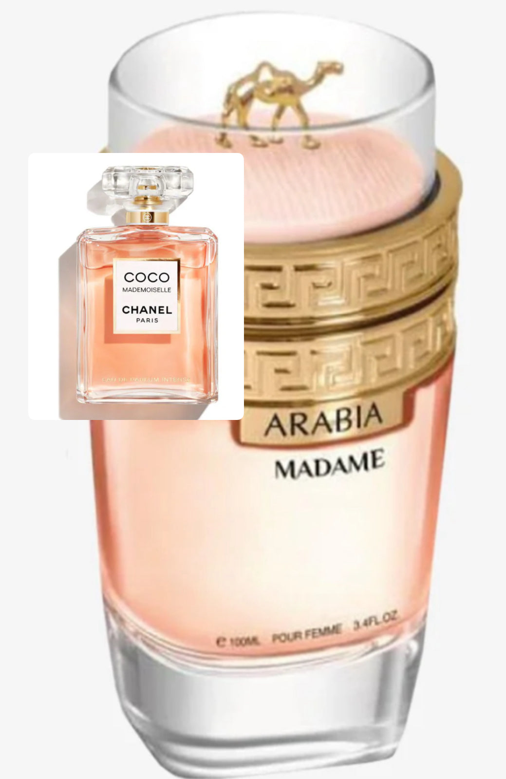 Arabia Madame  ( coco madmoiselle ) ( Lechameu Emper )