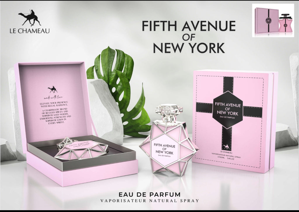 Fifth ave of New York ( Lechameu )