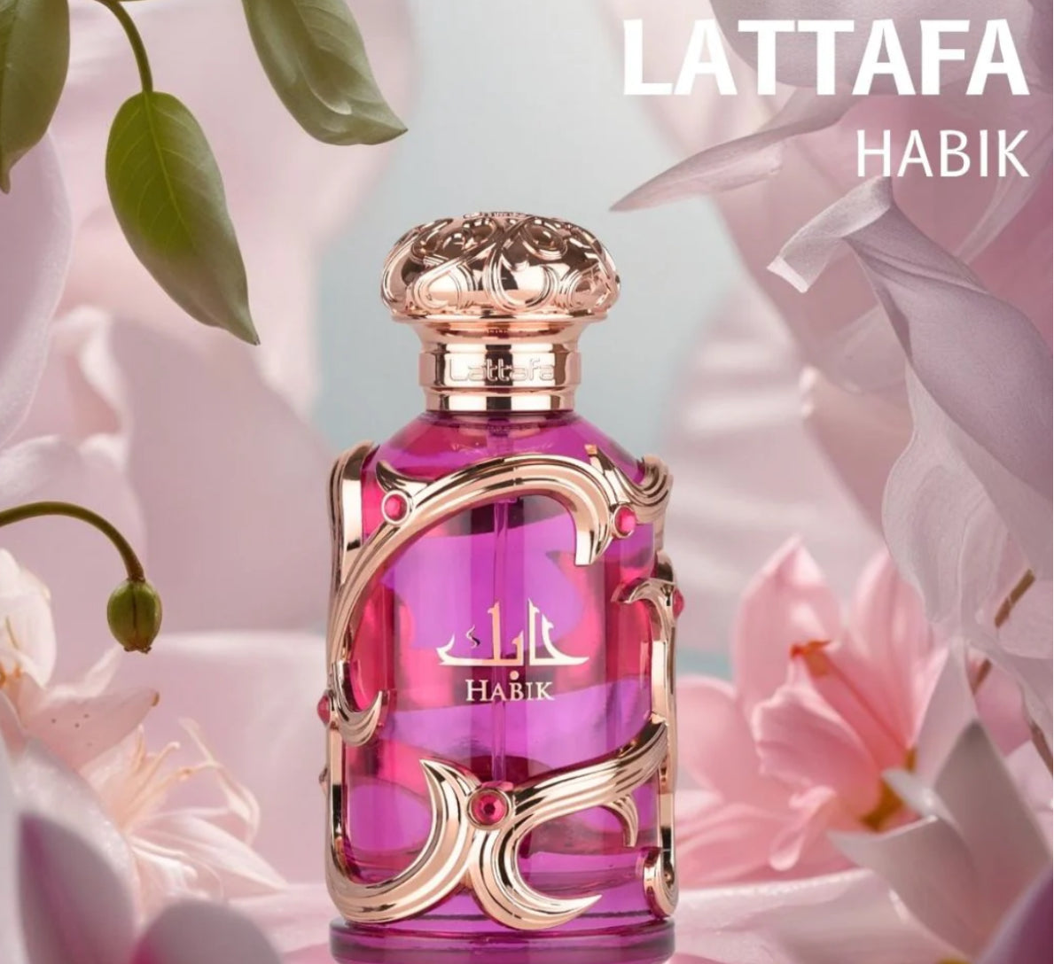 Hábik ( lataffa )