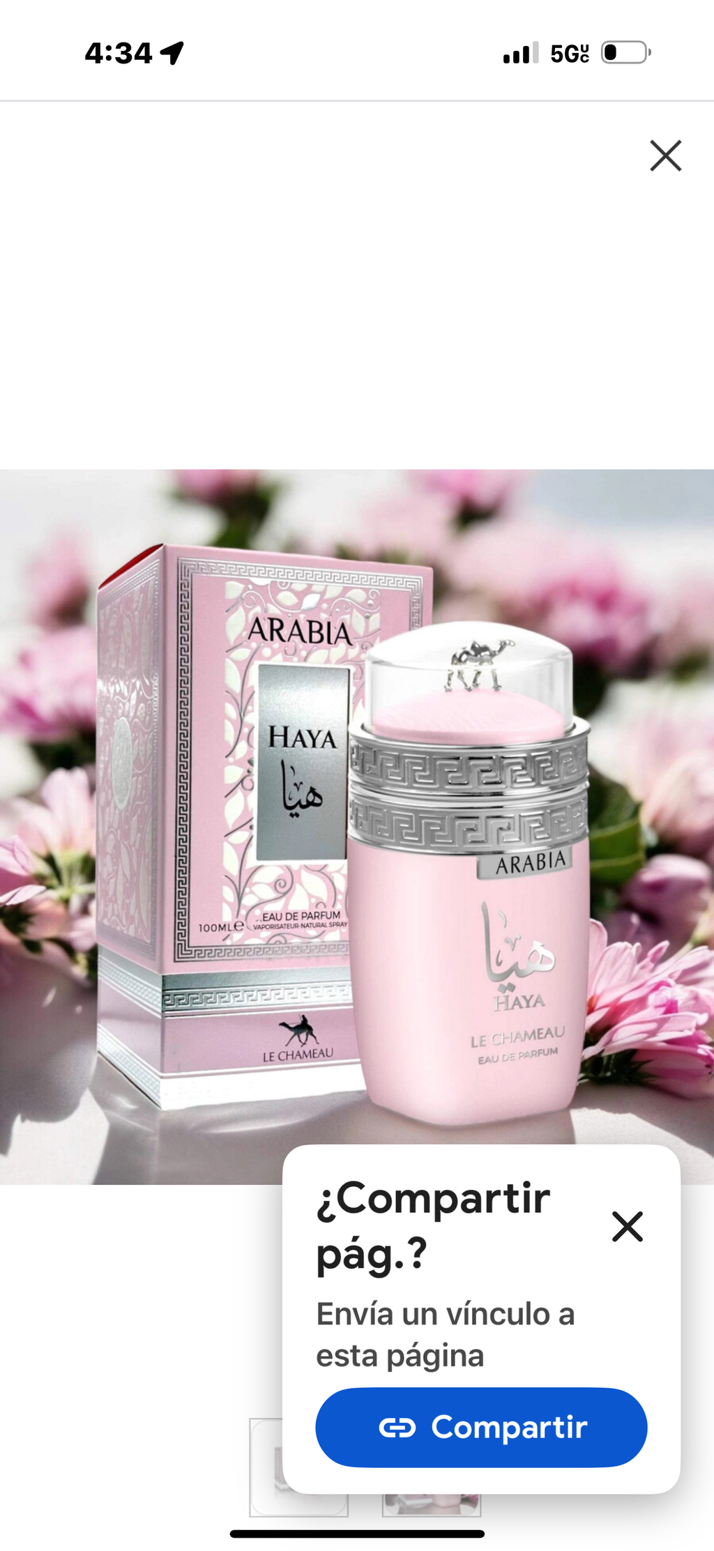 Arabia Haya Emper (Yara )